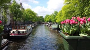 What's on Amsterdam