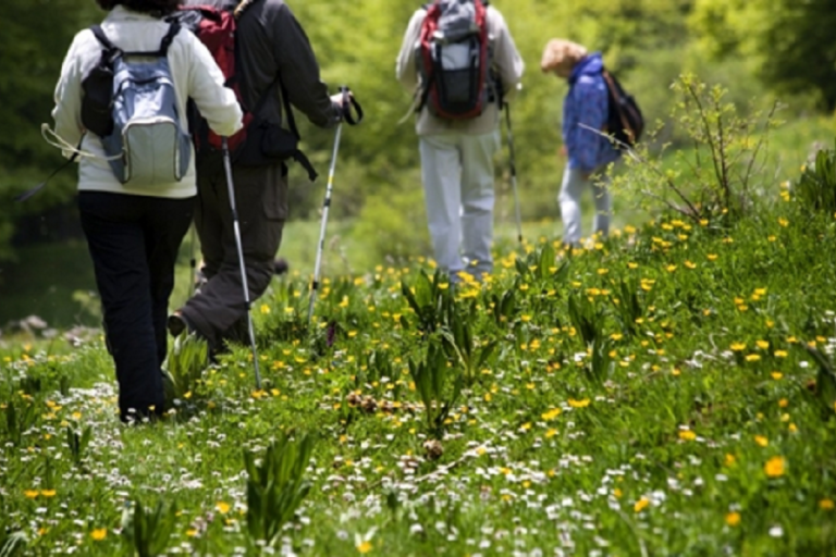 Eco-friendly traveling
