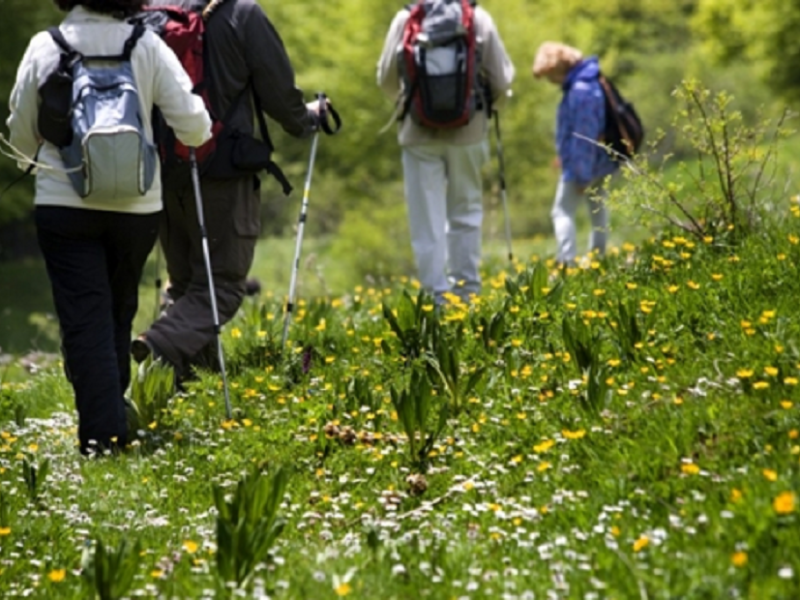 Eco-friendly traveling